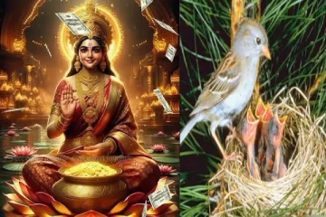 இந்த 3 பறவைகள் உங்கள் வீட்டிற்கு வருகிறதா? அதிர்ஷ்டம் உங்களுக்குத்தான்