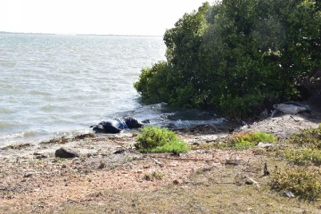 மன்னார் இராணுவ சோதனை சாவடிக்கு தொலைவில் ஆண் ஒருவரின் சடலம் மீட்பு