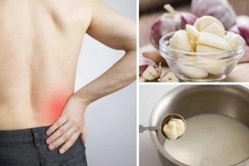 காலையில் பூண்டு பால் குடிப்பதால் கிடைக்கும்  நன்மைகள் என்ன தெரியுமா?