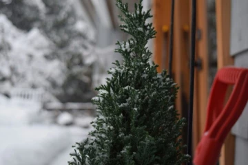 தென் ஒன்றாரியோவில் பனிப்பொழிவு குறித்து எச்சரிக்கை