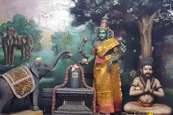 அனைத்து தோஷங்களையும் நீக்கும் திருவானைக்காவல் ஜம்புகேஸ்வரர் ஆலயம் | Thiruvanaikaval Jambukeswarar Temple