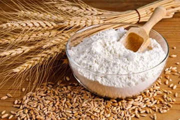 உலகிலேயே வரலாறு காணாத அளவு உயர்வடைந்த கோதுமையின் விலை