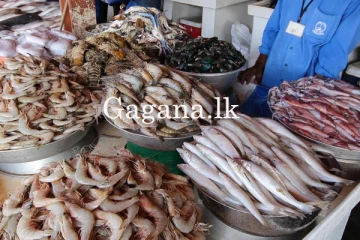 අද මාළු මිලෙත් වෙනසක්. - නව මිල ගණන් මෙන්න.