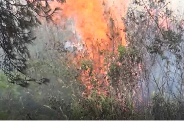 மேய்ச்சல் நிலப்பகுதியில் தீப்பரவல் கால்நடைகளுக்கு உணவு தட்டுப்பாடு ஏற்படும் அபாயம் (Photos)