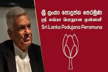 அதிபர் தேர்தலில் ரணிலுக்கு ஆதரவு :மொட்டு அதிரடி முடிவு