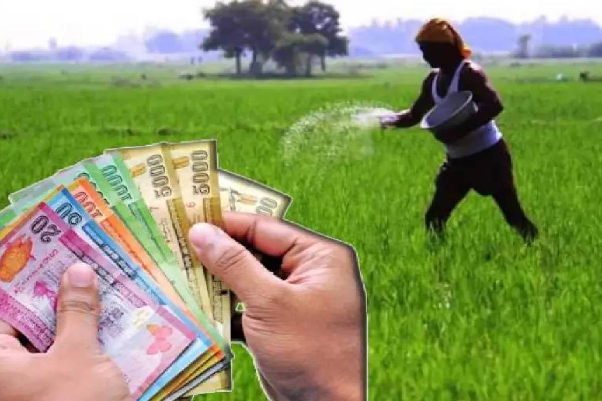நெற்செய்கை விவசாயிகளுக்கு வெளியான மகிழ்ச்சி தகவல் ; 75 சதவீதமான உர மானிய நிதி விநியோகம் | Good News Farmers 75 Fertilizer Subsidy Funds