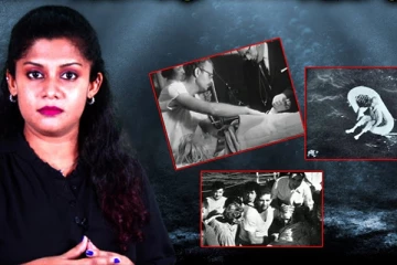 கொலை செய்யப்பட்ட 6 மனைவிகள்! நடுக்கடலில் தத்தளித்த சிறுமி? நடந்தது என்ன