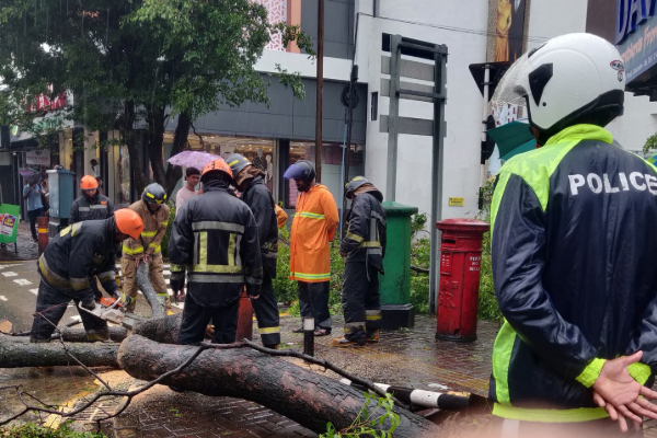 கொழும்பில் சுழற்றி அடித்த காற்று ; வேரோடு சாய்ந்த பாரிய மரம் | Cyclone Ditwah Uproots A Huge Tree In Colombo கொழும்பில் சுழற்றி அடித்த காற்று ; வேரோடு சாய்ந்த பாரிய மரம் | Cyclone Ditwah Uproots A Huge Tree In Colombo