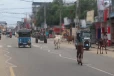 கல்முனையில் கட்டாக்காலி மாடுகளால் மக்கள் உயிருக்கு அபாயம்