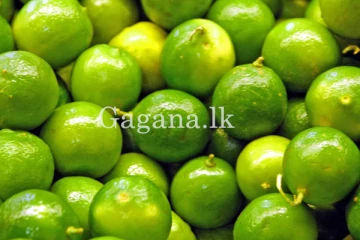 දෙහි නැග්ග නැගිල්ලක්. - ඇස් උඩ යන දෙහි මිල.