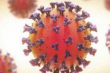 කොවිඩ් මරණ 02ක්