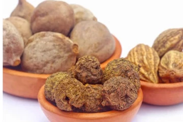 தாம்பத்திய குறைபாடு முதல் எடை குறைப்பு வரை! கடுக்காய் இருக்க பயம் ஏன்?