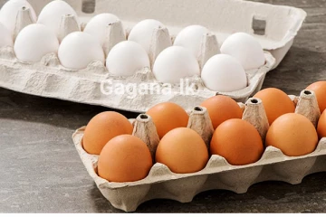 බිත්තර මිල ඉහළට..