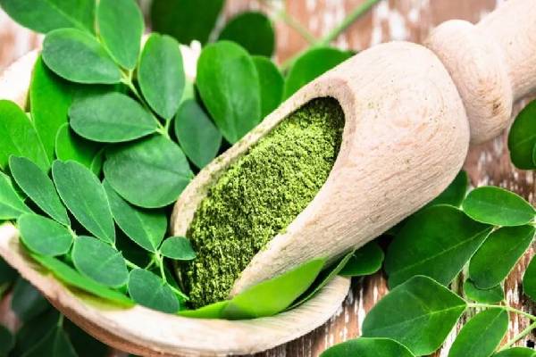 தலைமுடிக்கு முருங்கை கீரை ஹேர் மாஸ்க் - இதை போட்டால் என்ன நடக்கும்? | Drumstick Spinach Hair Mask Hair Growth Benifits