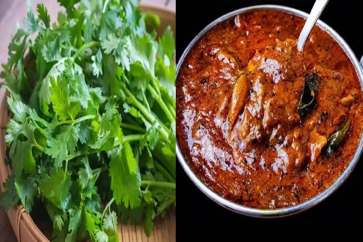 நோயெதிர்பு மண்டலத்தை வலுப்படுத்தும் கொத்தமல்லி காரகுழம்பு! | Tasty And Healthy Kothamalli Kara Kulambu Recipe