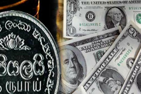 அதிகரித்த டொலரின் பெறுமதி: தொடர்ந்து வீழ்ச்சியடையும் இலங்கை ரூபாய் - ஐபிசி தமிழ்