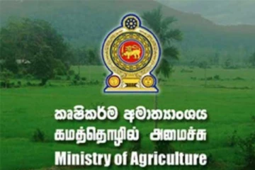 நிதி கிடைத்தால் பயிரழிவுகளுக்கு இழப்பீட்டுக் கொடுப்பனவுகளை வழங்க முடியும் - கமத்தொழில் காப்புறுதி சபை