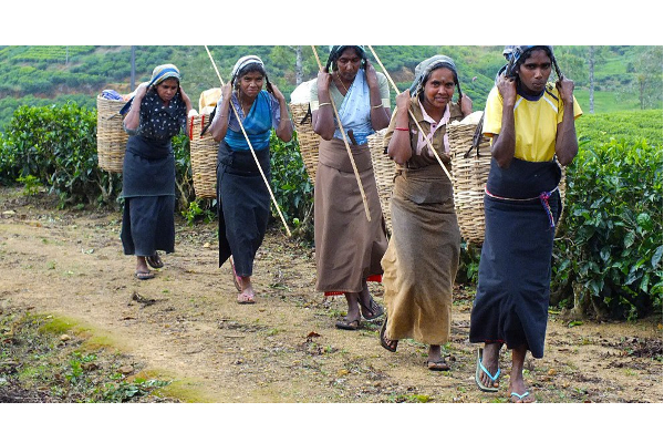 வாக்குறுதியை மறந்த ரணில் - மனோ ஆவேசம் | Upcountry People Land Rights Mano Ganesan