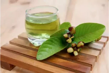 இதய நோய் முதல் ஆஸ்துமா வரை... கொய்யா இலை செய்யும் அற்புதம்