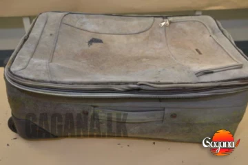 මිනීමරු මවක් තමන් බිහිකරපු මල්කැකුළු දෙක මරලා සූට්කෙස් එකක හංගලා