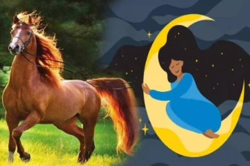 கனவில் குதிரை வந்தால் நல்லது நடக்குமா? - மழை, நிலா வந்தால் என்ன பலன் தெரியுமா?