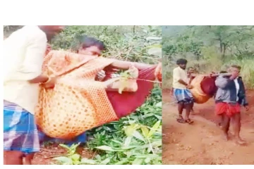 பிரசவ வலியில் துடிதுடித்த பெண் - டோலி கட்டி 6 கி.மீ. சுமந்து சென்ற கிராம மக்கள்