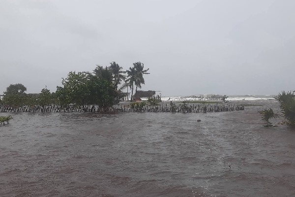 நீர்கொழும்பில் வீடுகளுக்குள் புகுந்த தண்ணீர்: கனமழையால் வெள்ளத்தில் மூழ்கிய பல இடங்கள் | Negombo Flood Water Enters Civilian Houses