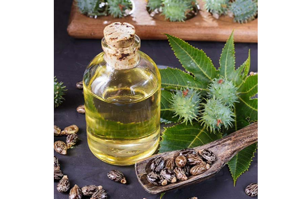 புருவம் அடர்த்தியாக வளர வேண்டுமா? இதை மட்டும் செய்தாலே போதும் | Eye Brow Growth Super Tips