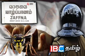 யாழில் குளவிக் கொட்டுக்கு உள்ளான வயோதிப பெண்ணுக்கு நேர்ந்த துயரம்