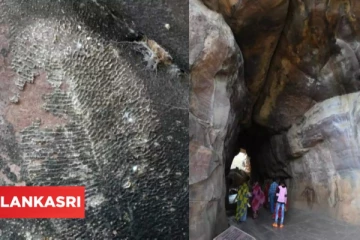 பூமியின் மிகப் பழமையான விலங்கின் எச்சம் இந்தியாவில் கண்டுபிடிப்பு! 570 மில்லியன் ஆண்டுகள் பழமை வாய்ந்தது என தகவல்