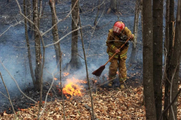 கடும்காட்டுத் தீ தொடரும் மரணங்கள்- கஜகஸ்தானில் துயரம் | Fourteen People Killed In Kazakhstan Forest Fires