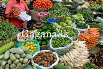 ඉතිහාසයේ ප්‍රථම වරට වාර්තාගත ලෙස එළවලු මිලට සිදු වූ දේ. - නව මිල ගණන් මෙන්න.