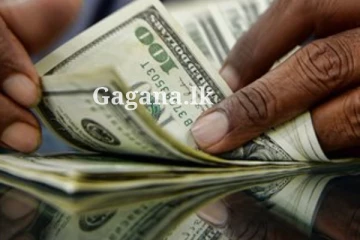 ඩොලරයට එකවරම මොකද වුණේ දන්නව ද?. (PHOTO)