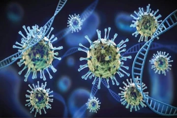 புதிய வகை கொரோனா வைரஸ் கண்டுபிடிப்பு; மனிதர்களுக்கு பரவுமா?