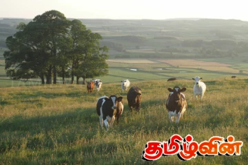 கிண்ணியா பிரதேச மேய்ச்சல் தரை விவகாரம்.. இடம்பெற்ற விசேட சந்திப்பு