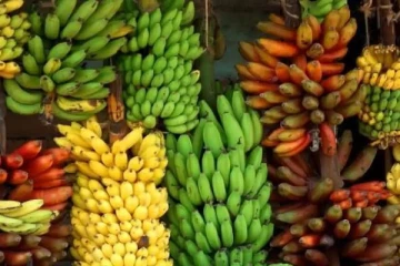 இலங்கையின் பொருளாதாரத்தை கட்டியெழுப்பும் வாழைப்பழம்! சீனாவிற்கு ஏற்றுமதி செய்ய திட்டம்