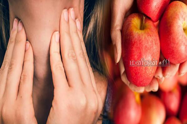 அயோடின் குறைப்பாட்டு பிரச்சினையா? அப்போ இந்த பழங்கள் அவசியம் சாப்பிடுங்க | Which Food Is Good For Iodine Deficiency அயோடின் குறைப்பாட்டு பிரச்சினையா? அப்போ இந்த பழங்கள் அவசியம் சாப்பிடுங்க | Which Food Is Good For Iodine Deficiency