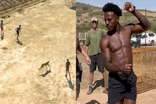 சிறுத்தையுடன் ஓட்டப்பந்தயம் வைத்த யூடியூப் பிரபலம்! படுவைரலாகும் காணொளி | Youtuber Speed Raced With Cheetah Video Viral சிறுத்தையுடன் ஓட்டப்பந்தயம் வைத்த யூடியூப் பிரபலம்! படுவைரலாகும் காணொளி | Youtuber Speed Raced With Cheetah Video Viral