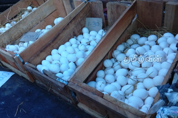 முட்டை வாங்க அம்பாறைக்குச் செல்லும் வெளிமாவட்ட மக்கள் | Egg Price Sri Lanka Visting Ampara