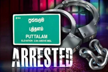 உள்நாட்டு துப்பாக்கிகளுடன் சந்தேக நபரொருவர் கைது