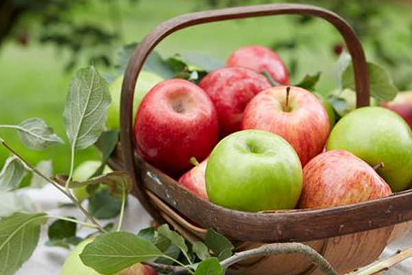 பழங்களின் விலைகளில் ஏற்பட்ட மாற்றம்! | Falling Prices Of Apples