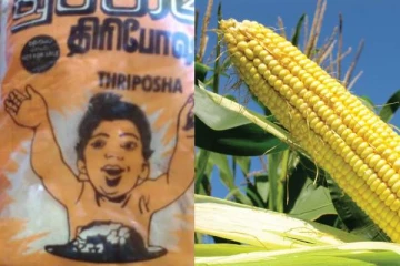 திரிபோஷா உற்பத்தியில் சிக்கல்!