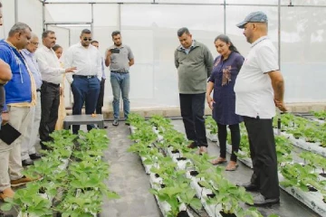 இலங்கையில் வெற்றியடைந்துள்ள பயிர்ச்செய்கை : விவசாய அமைச்சு மகிழ்ச்சி தகவல்