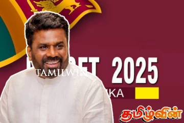 அநுர அரசின் முதலாவது வரவு செலவுத் திட்டம் பெரும்பான்மை ஆதரவோடு நிறைவேற்றம்