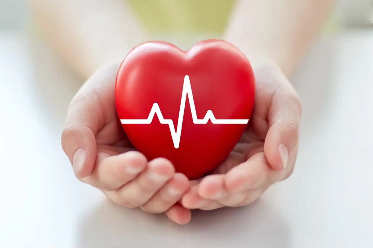 வேக வைத்த நெல்லிக்காய் தினமும் 1 சாப்பிடுங்க... உடலில் நடக்கும் மாற்றங்கள் | Benefits Of Eating Streamed Amla One A Day வேக வைத்த நெல்லிக்காய் தினமும் 1 சாப்பிடுங்க... உடலில் நடக்கும் மாற்றங்கள் | Benefits Of Eating Streamed Amla One A Day