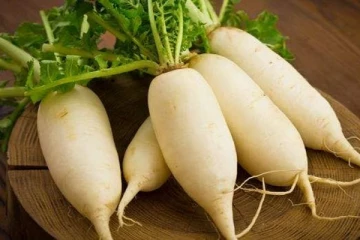 நோயில்லா வாழ்வு! முள்ளங்கியில் கொட்டிக் கிடக்கும் அற்புதங்கள்