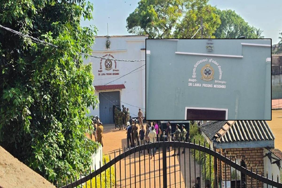 விரைவில் சீரமைக்கப்படவுள்ள நீர்கொழும்பு சிறைச்சாலையின் சேதமடைந்த சொத்துக்கள் | Repairs To Damaged Negombo Prison Begin Next Week விரைவில் சீரமைக்கப்படவுள்ள நீர்கொழும்பு சிறைச்சாலையின் சேதமடைந்த சொத்துக்கள் | Repairs To Damaged Negombo Prison Begin Next Week