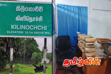 கிளிநொச்சியில் கேரளா கஞ்சா மீட்பு