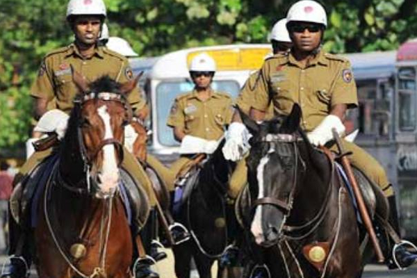 டொலர் நெருக்கடி - சிறிலங்கா காவல்துறை குதிரைகளுக்கு ஏற்பட்ட நிலை | Local Food For Police Horses Due To Dollar Crisis
