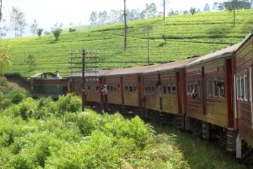 மலையக ரயில் சேவைகள் தொடர்பில் ரயில்வே திணைக்களத்தின் அவசர தீர்ப்பு